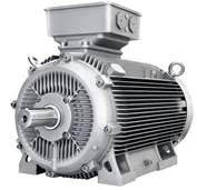 simotics 1LE8143 series foto